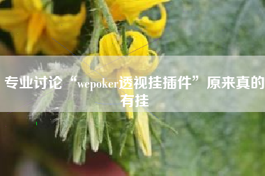 专业讨论“wepoker透视挂插件	”原来真的有挂