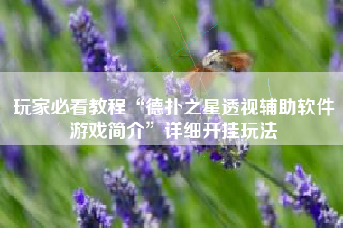 玩家必看教程“德扑之星透视辅助软件游戏简介”详细开挂玩法