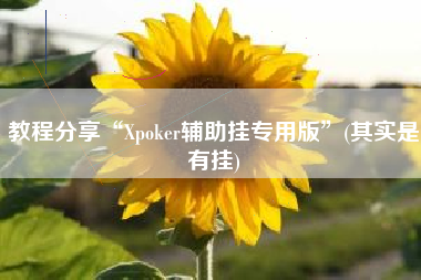 教程分享“Xpoker辅助挂专用版”(其实是有挂)