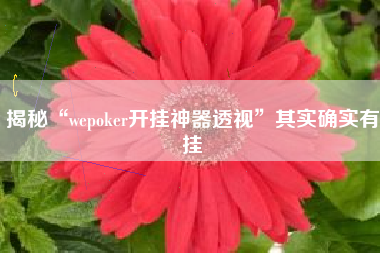 揭秘“wepoker开挂神器透视”其实确实有挂