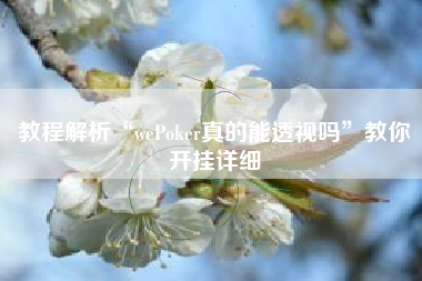 教程解析“wePoker真的能透视吗”教你开挂详细