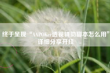终于呈现“AAPOKer透视辅助脚本怎么用”详细分享开挂