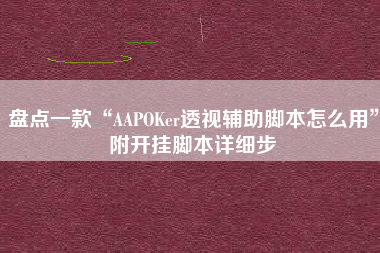 盘点一款“AAPOKer透视辅助脚本怎么用”附开挂脚本详细步