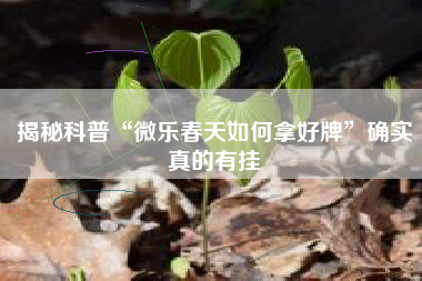 揭秘科普“微乐春天如何拿好牌”确实真的有挂