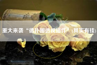 重大来袭“德扑圈透视插件”(其实有挂)