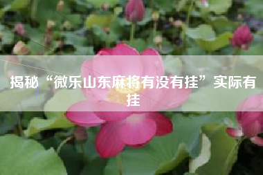 揭秘“微乐山东麻将有没有挂”实际有挂