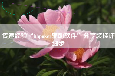 传递经验“hhpoker辅助软件”分享装挂详细步