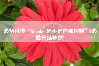 必备科技“hhpoker是不是内部控制”(必胜开挂神器)