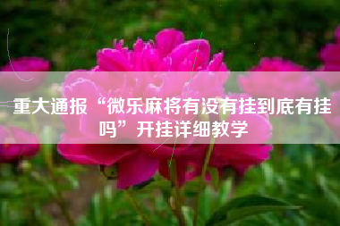 重大通报“微乐麻将有没有挂到底有挂吗”开挂详细教学