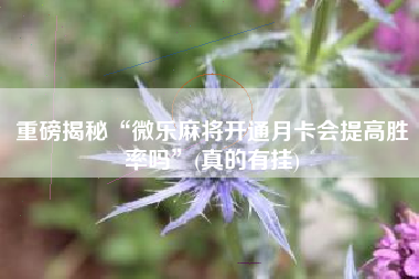 重磅揭秘“微乐麻将开通月卡会提高胜率吗”(真的有挂)