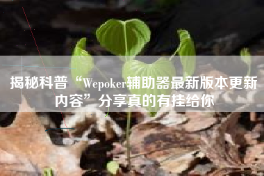 揭秘科普“Wepoker辅助器最新版本更新内容	”分享真的有挂给你