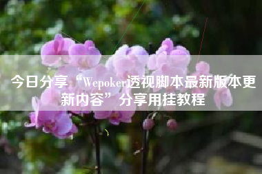 今日分享“Wepoker透视脚本最新版本更新内容”分享用挂教程